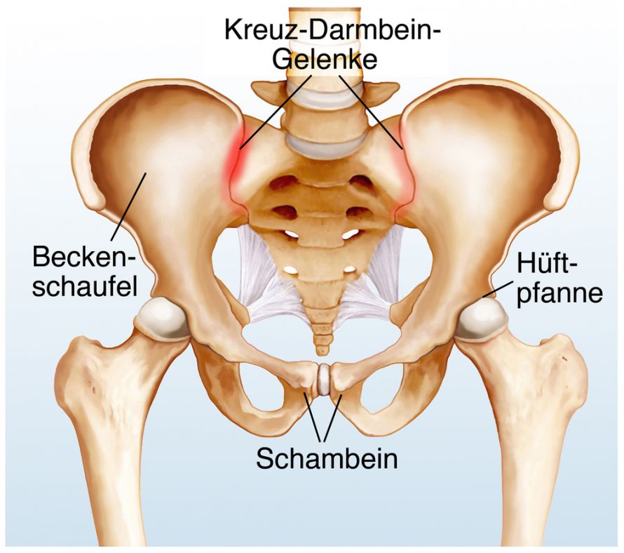 Schambein